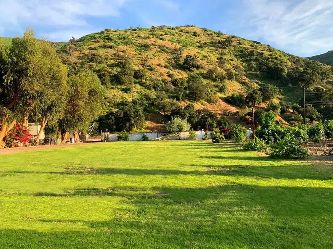 Sun Valley Orchard, view 2