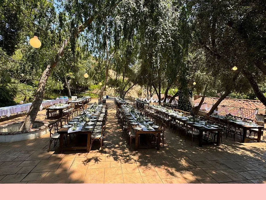 Sun Valley Orchard, view 4
