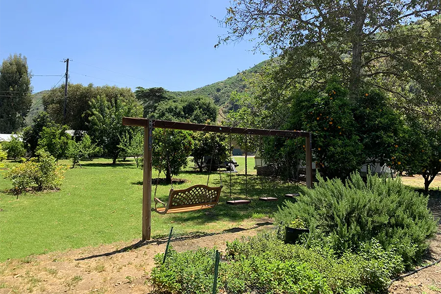 Sun Valley Orchard, view 7