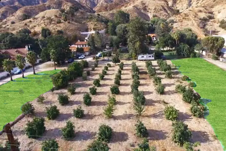 Sun Valley Orchard, view 10