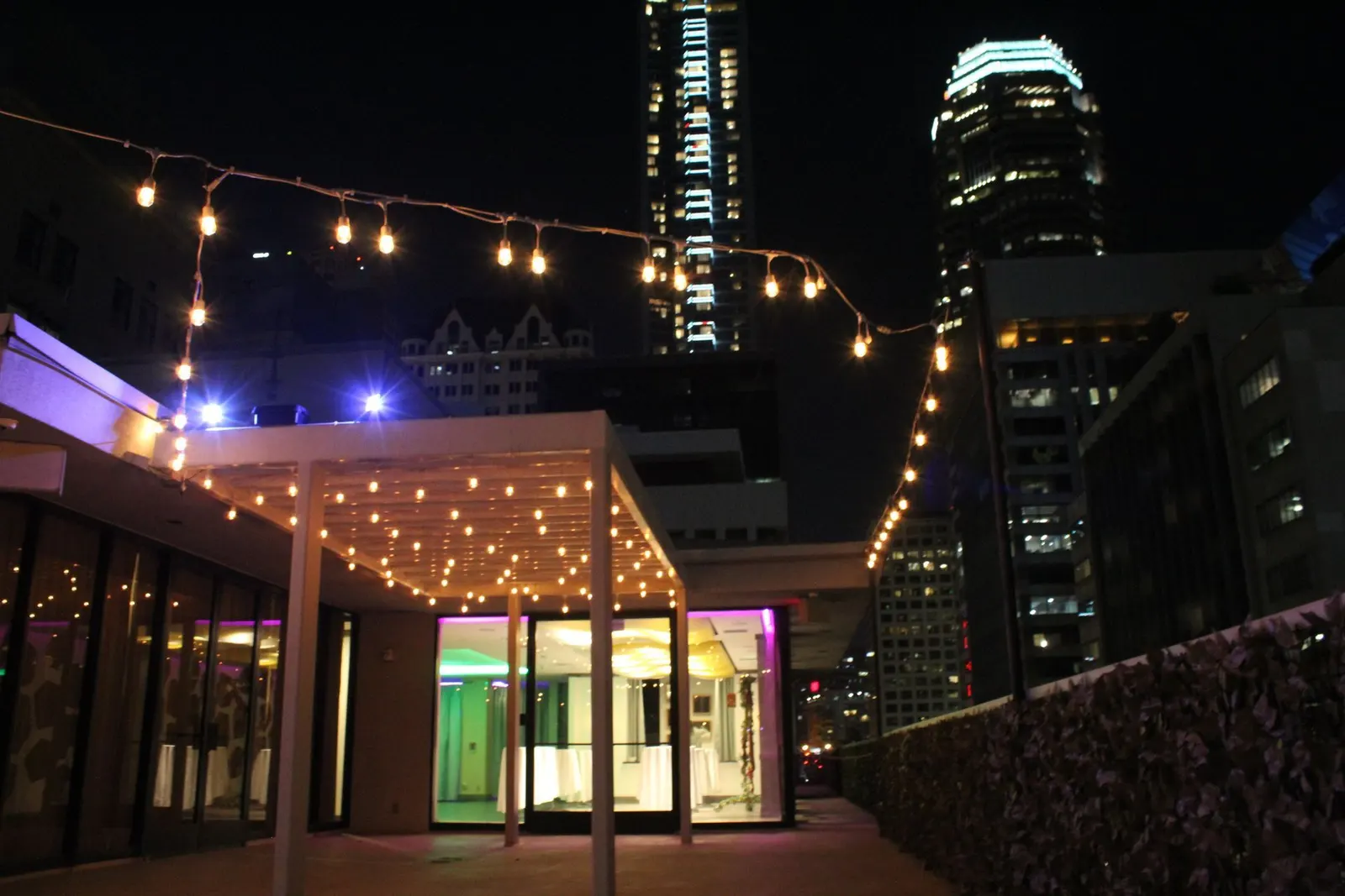 Wilshire Rooftop, view 5